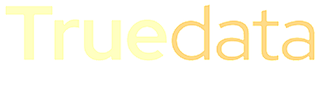 Truedata IT Services